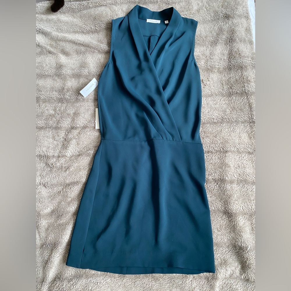 Babaton Aritzia Pheonix Dress